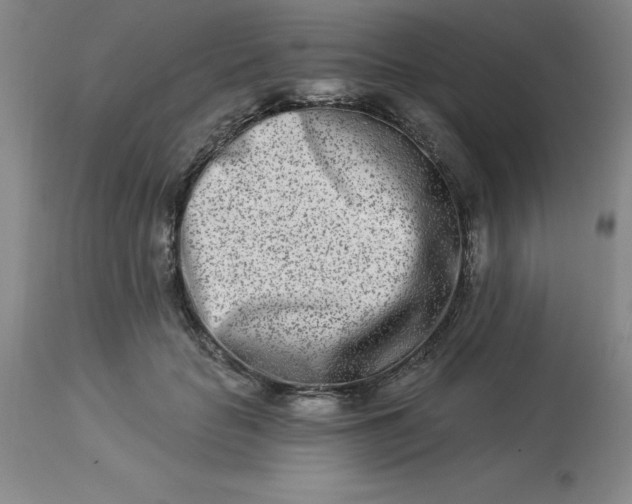 X0000113120653200909111141