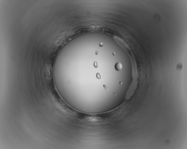 X0000113120654200909111141