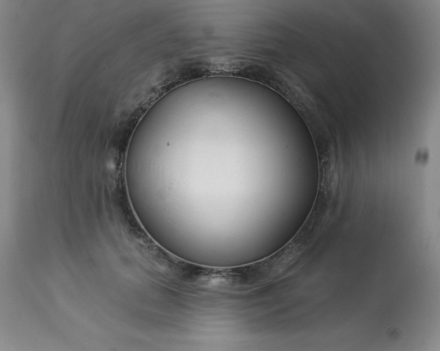 X0000113120655200909111141