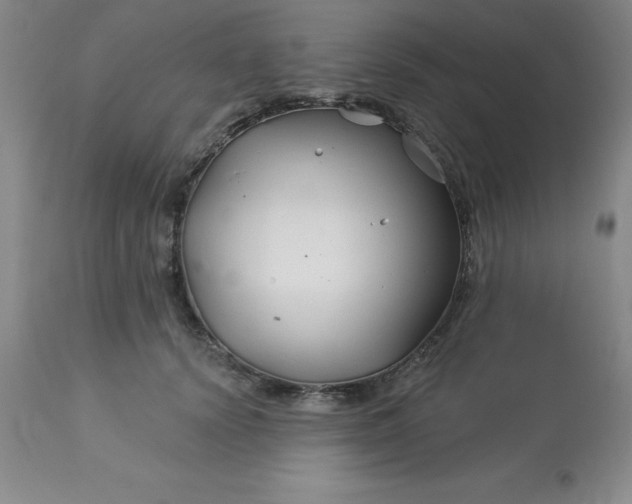 X0000113120656200909111141