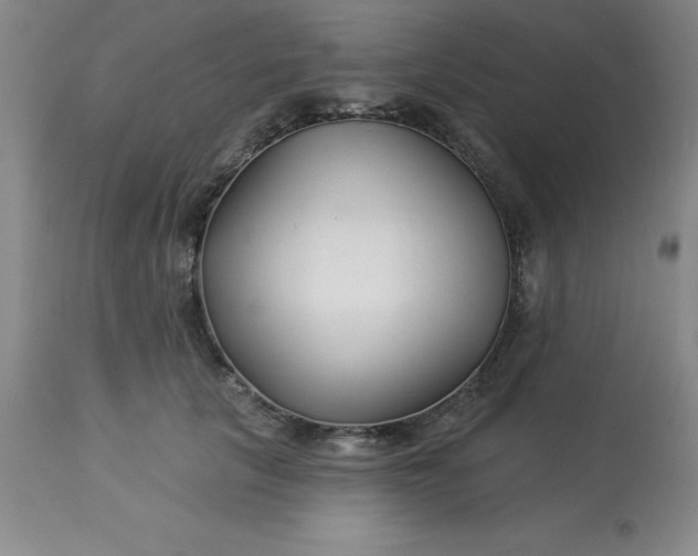 X0000113120657200909111141