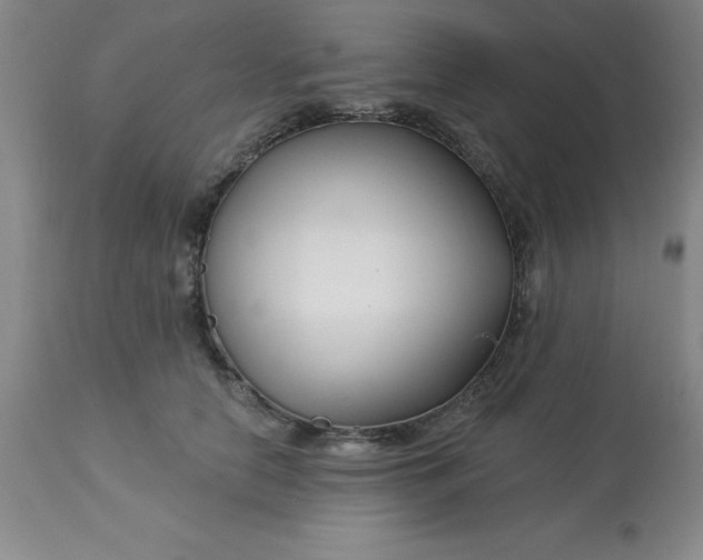 X0000113120658200909111141