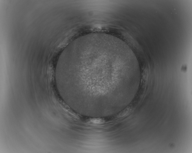 X0000113120659200909111141