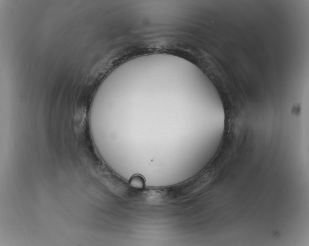 X0000113120660200909111141