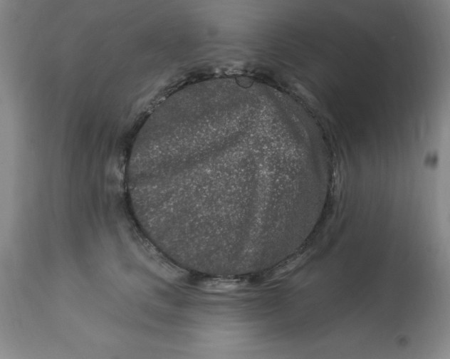 X0000113120661200909111141