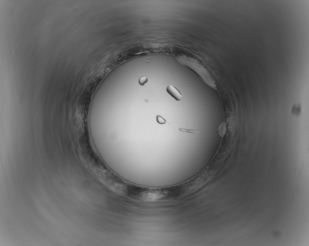 X0000113120662200909111141