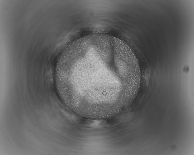 X0000113120663200909111141