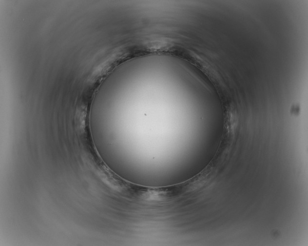 X0000113120664200909111141