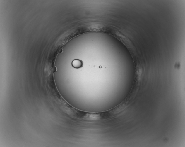 X0000113120665200909111141