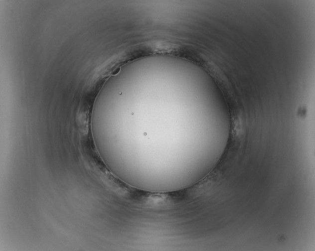 X0000113120666200909111141