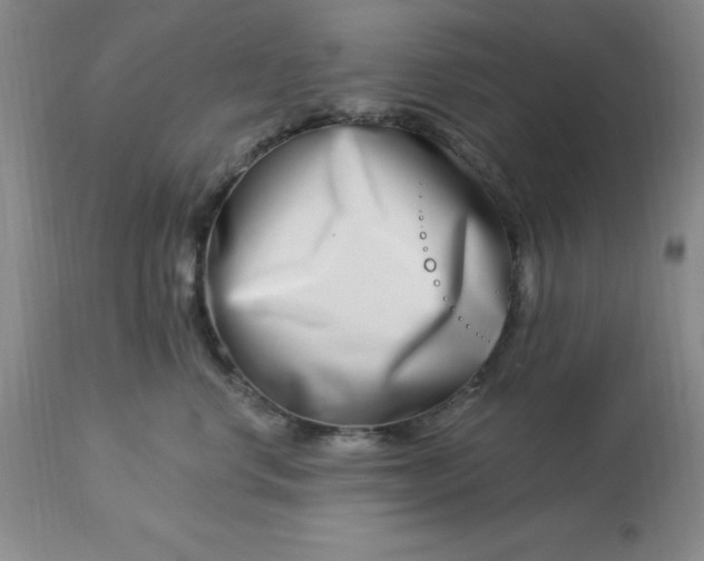 X0000113120668200909111141