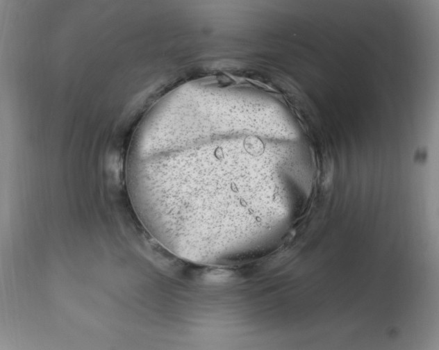 X0000113120669200909111141