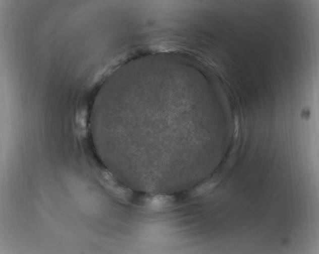 X0000113120670200909111141