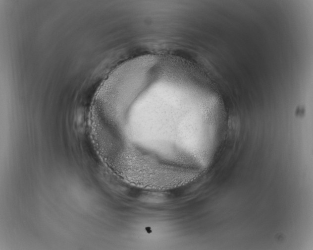 X0000113120671200909111141