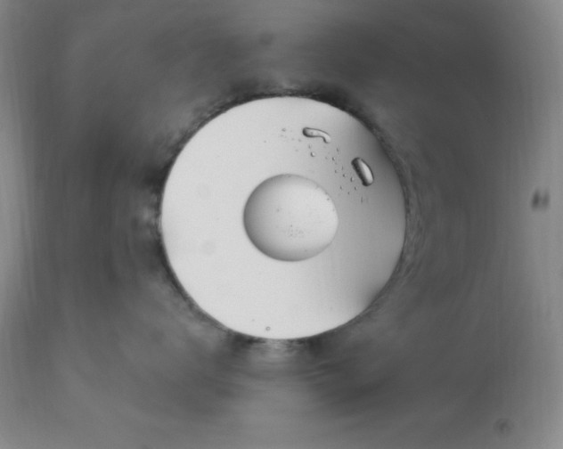 X0000113120672200909111141