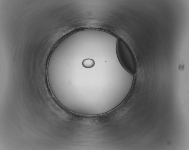 X0000113120673200909111140