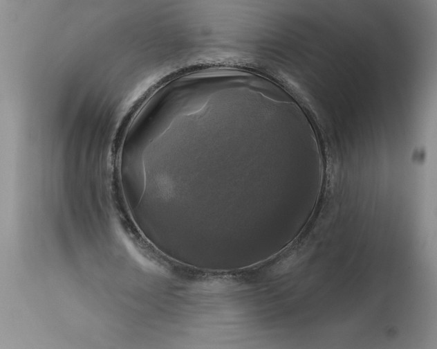 X0000113120674200909111140