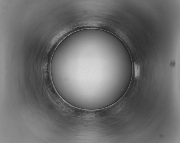 X0000113120675200909111140