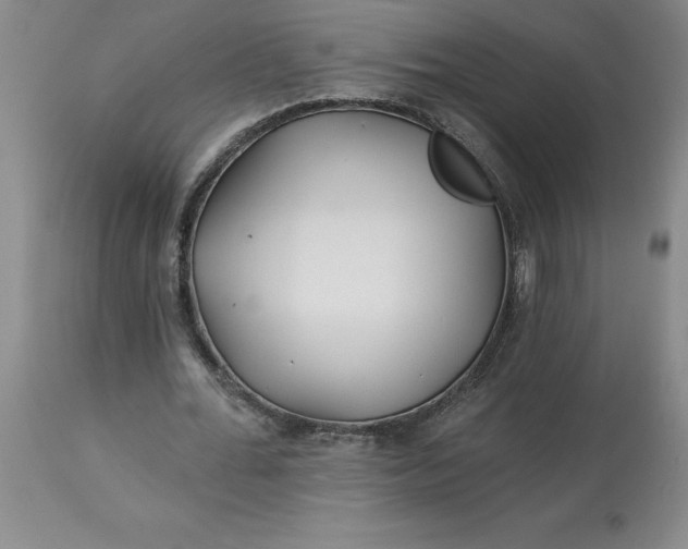 X0000113120676200909111140