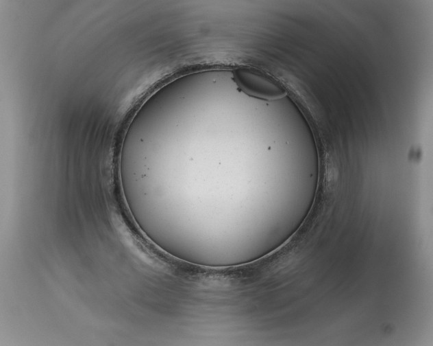 X0000113120677200909111140