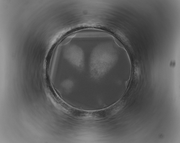 X0000113120678200909111140