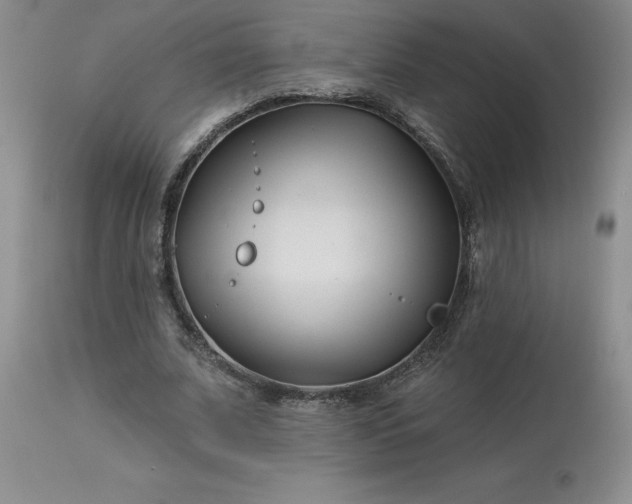 X0000113120679200909111140