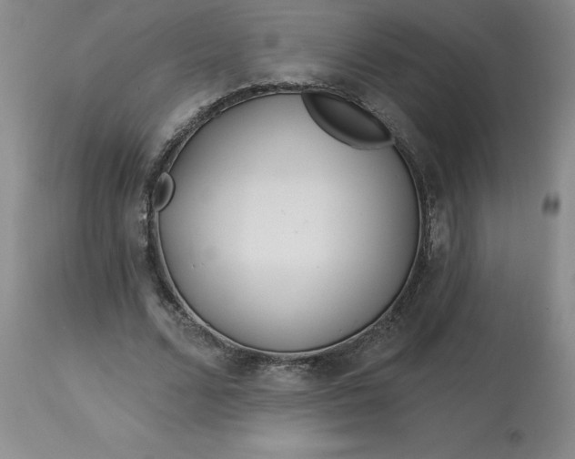 X0000113120680200909111140