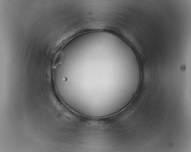 X0000113120681200909111140