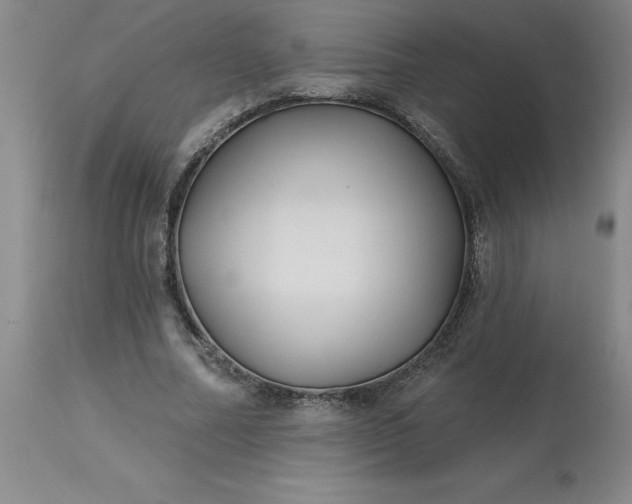 X0000113120682200909111140