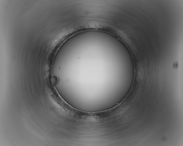 X0000113120683200909111140