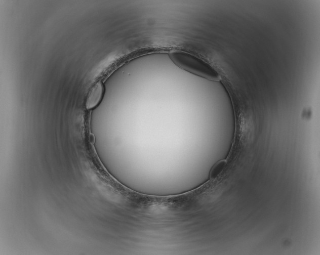 X0000113120684200909111140