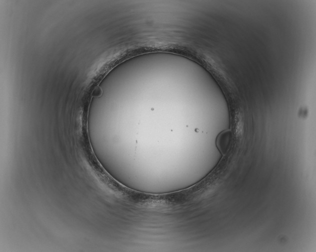 X0000113120685200909111140