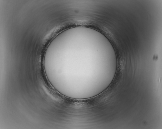 X0000113120686200909111140