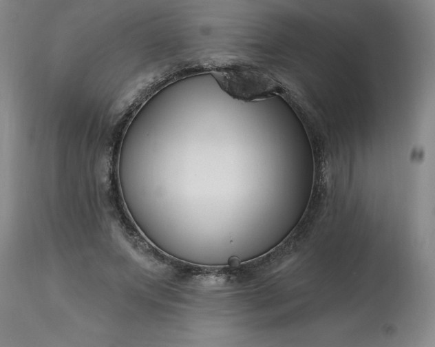 X0000113120687200909111140