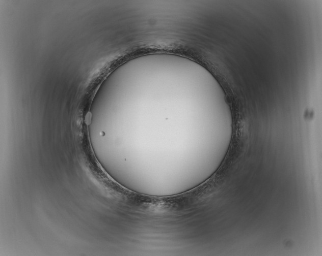 X0000113120688200909111140