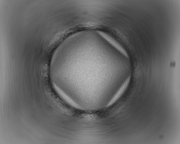 X0000113120689200909111140