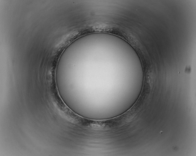 X0000113120690200909111140