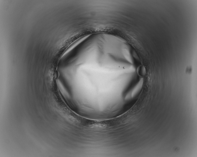 X0000113120691200909111140