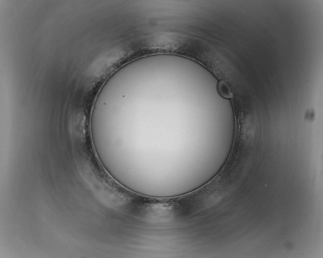 X0000113120692200909111140