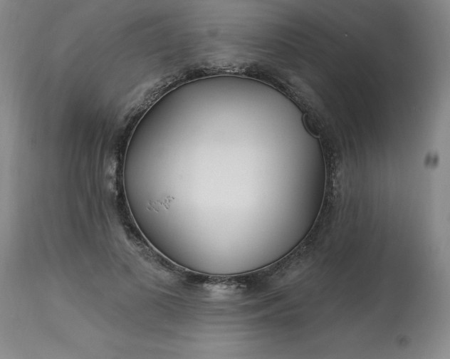 X0000113120693200909111140