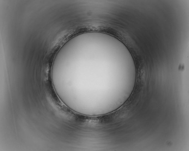 X0000113120694200909111140