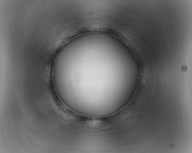 X0000113120695200909111140