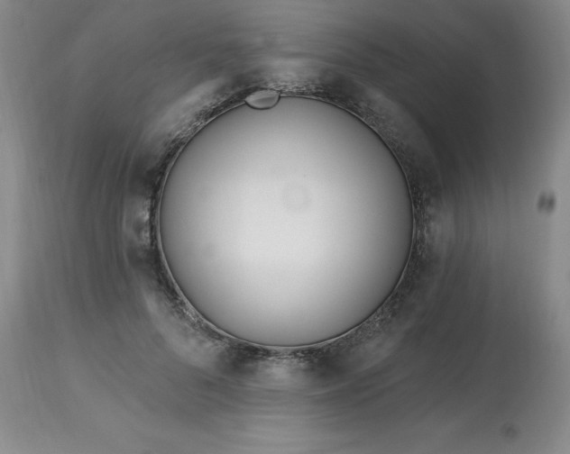 X0000113120696200909111140