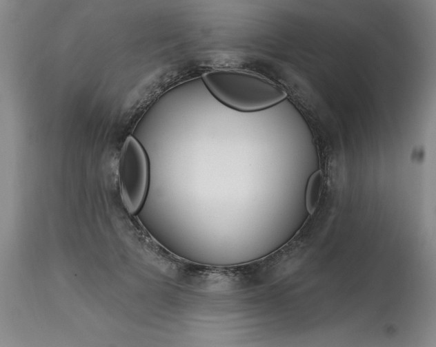 X0000113120697200909111140