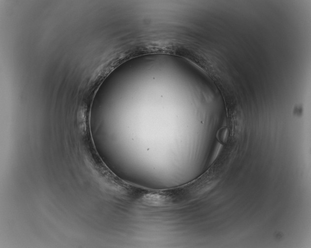 X0000113120699200909111140