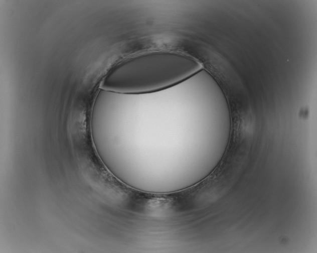 X0000113120700200909111140