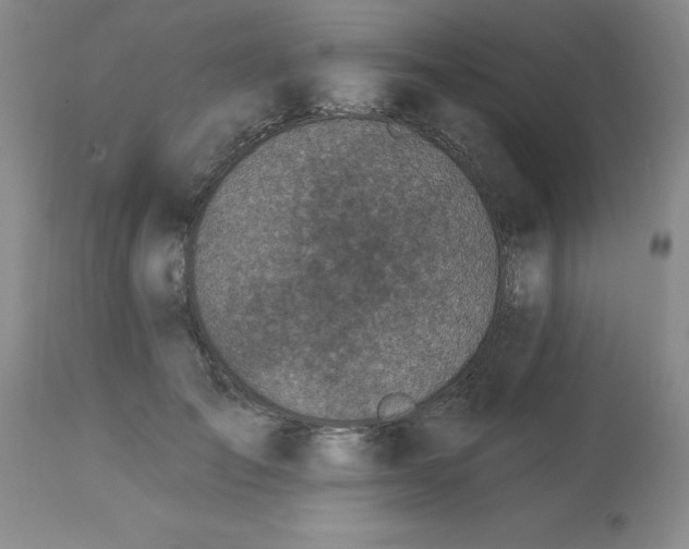 X0000113120701200909111140