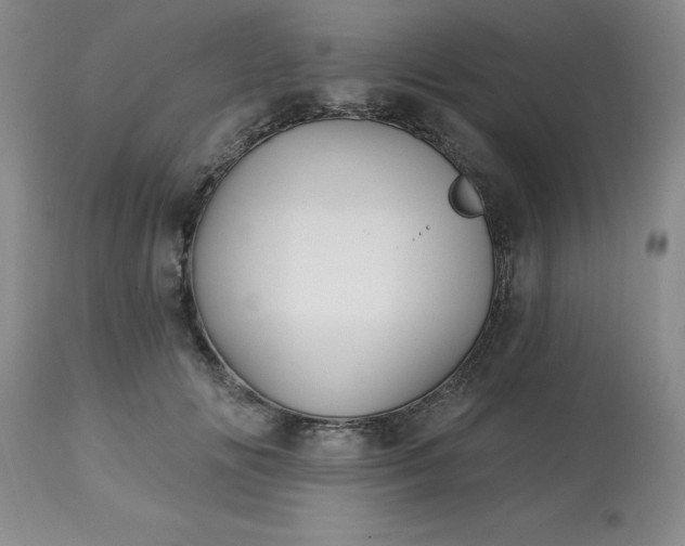 X0000113120702200909111140