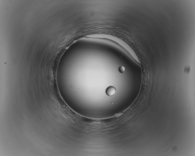 X0000113120704200909111140