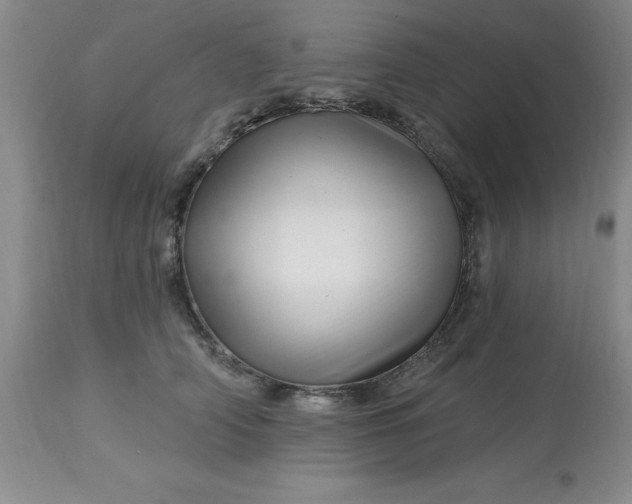 X0000113120706200909111140